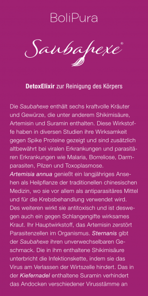 Saubahexe Flyer